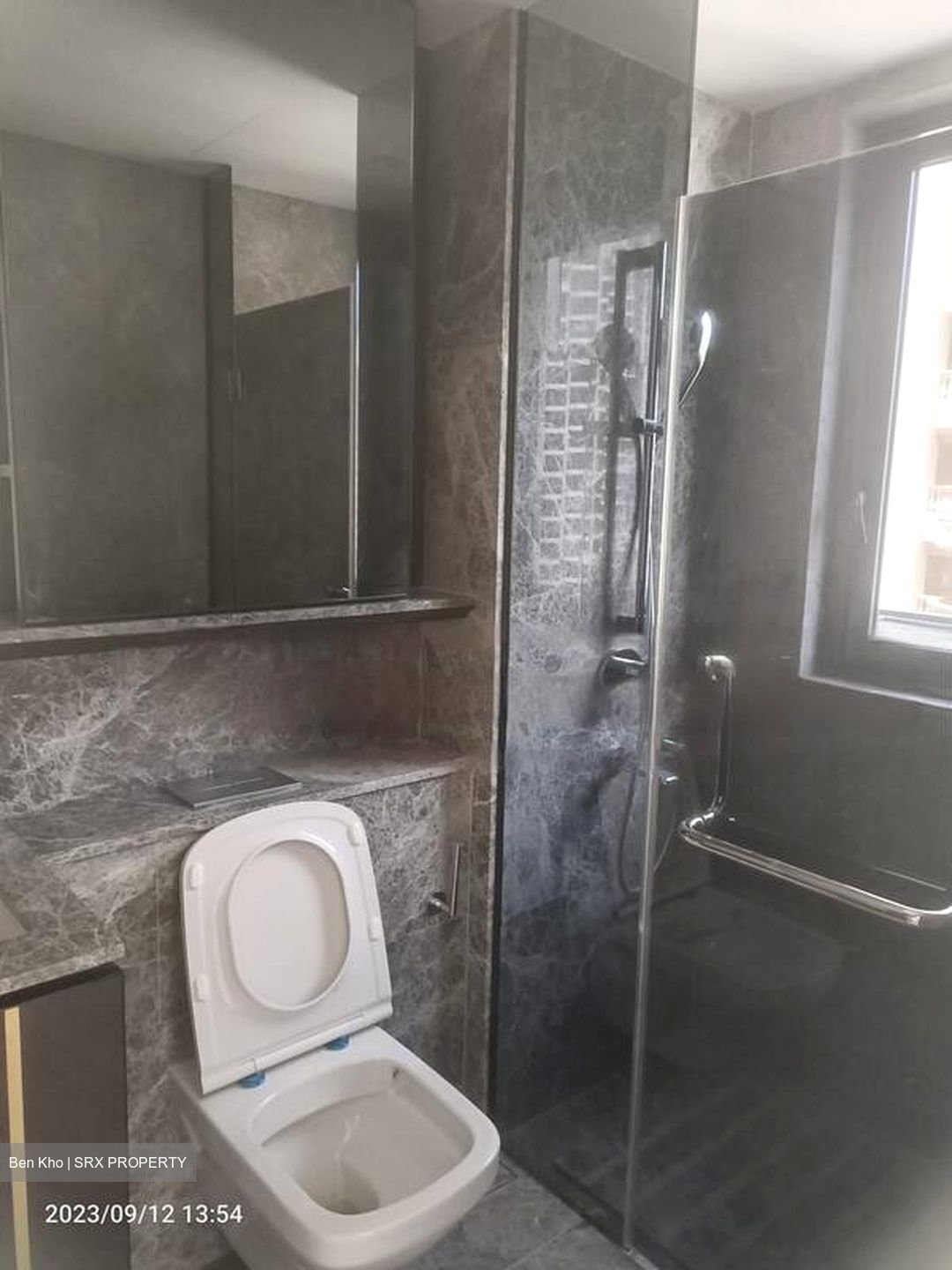 Ardmore Residence (D10), Condominium #457911401